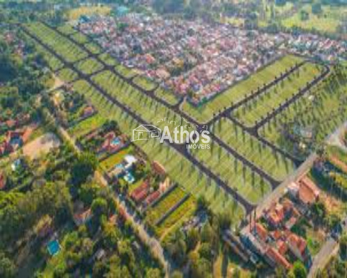 Imagem 1 de 1 de Terreno - Tr02769 - 69299315