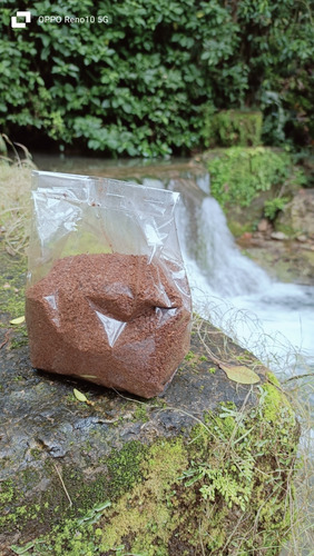 Café En Polvo O Grano