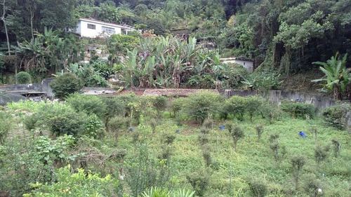 Imagem 12 de 17 de Chácara Residencial À Venda, Horto Florestal, São Paulo. - Ch0006