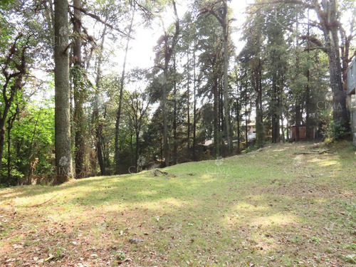 Imagen 5 de 14 de Venta Terreno En Fraccionamiento San José De La Montaña - T41