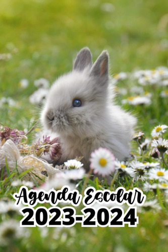 Libro: Agenda Escolar Conejo: Planificador Semanal A5(septie