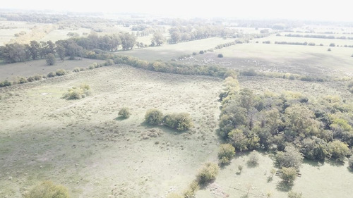 Imagen 10 de 17 de Campo - Fátima Estacion Empalme