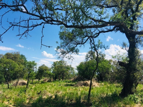 Imagen 21 de 21 de Venta Campo Comercial Sobre Ruta N5 - Villa General Belgrano- Inv0052
