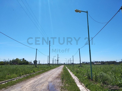 Imagen 4 de 8 de Lote En Venta En La Plata