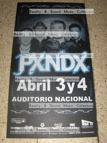 Poster Panda Auditorio Nacional Original De Coleccion