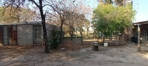 Campo - La Rubia