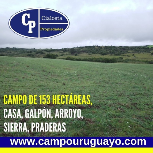 Campo De 153 Hectáreas En Maldonado