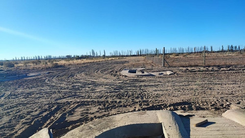 Imagen 7 de 13 de Terreno En Venta San Rafael Mendoza