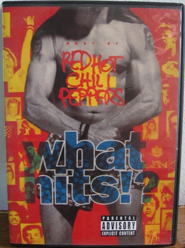 Best Of Red Hot Chili Peppers - What Hits!? (2002) Dvd Orig (Usado)