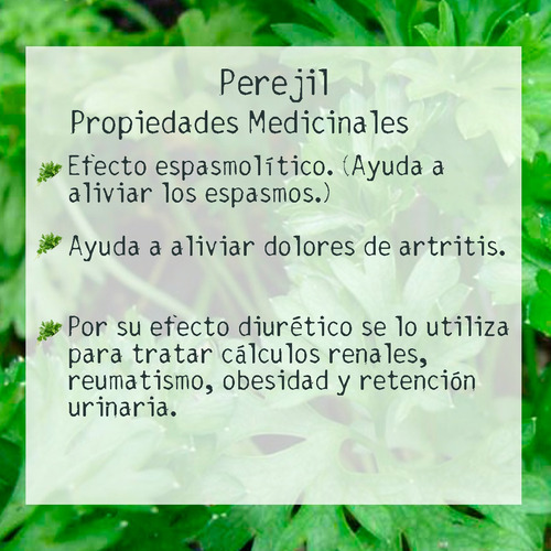Tintura Madre De Perejil 50ml | Tónico Herbal