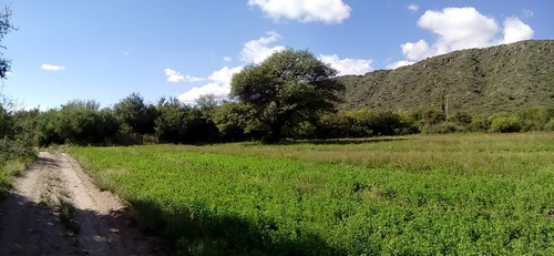 Dueño Directo Vende Campo 78 Hcts San Luis Norte, Al Pie De Las Sierras Altas, Paraje La Majada, Bosque , Acequias, Sierras, Belleza Y Pureza......