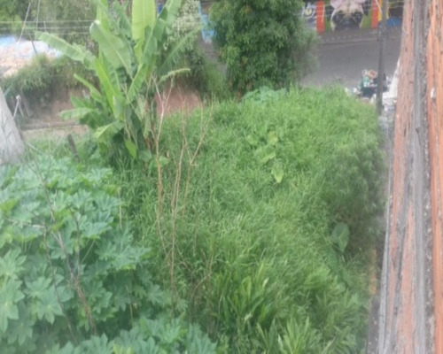 Imagem 6 de 13 de Terreno - Te0020 - 32142050