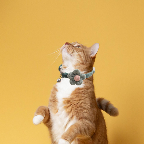 2 Collar De Gato Con Dije De Campana Compatible Con El Verde