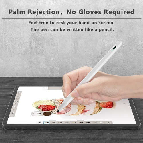 Lápiz Pencil Premium Rechazo Palma Para Ipad 10.2 7a 8a 9a