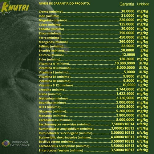 K-nutri Suplemento P Ganho De Massa Muscular C Creatina 10kg
