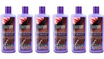 6 Shampoo/ Balsamo De Caballo Arándano  Flower Secret