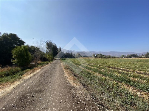 Imagen 8 de 12 de Venta Sitio Lampa Panamericana Norte 11 Hectáreas