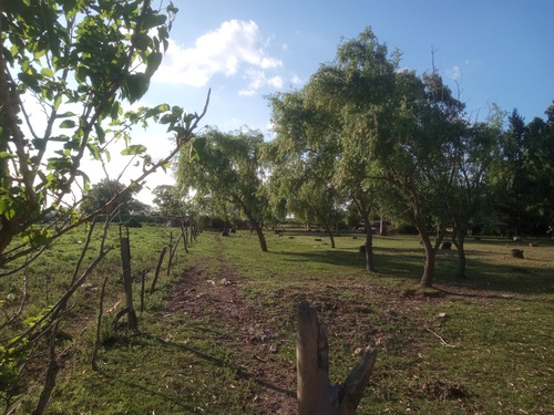 Encantadora Casa Quinta En Marcos Paz Vida Rural