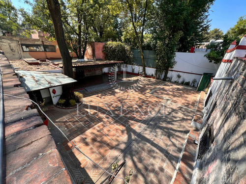 Local En Venta Y Renta, La Concepción