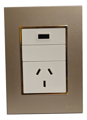 Llave Cambre Bauhaus Toma Usb + 220v Oro Y Champagne