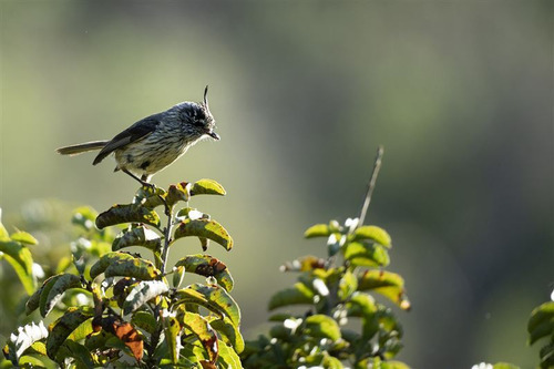 Parcelas En Algarrobo Terrenos De 5 Hectáreas Rol Propio