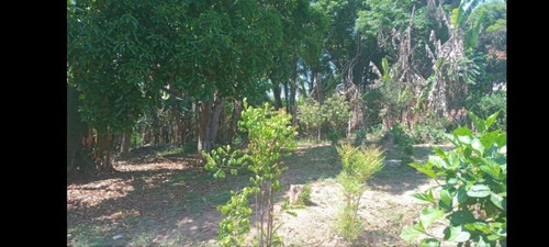 Imagem 17 de 25 de Vendo Chácara - 3.329 M² Bairro Iara - Atibaia - Ch00032 - 70635382