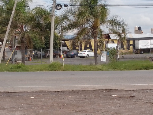 Imagen 14 de 14 de Terreno Excelente Ubicación Para Todo Tipo De Negocio