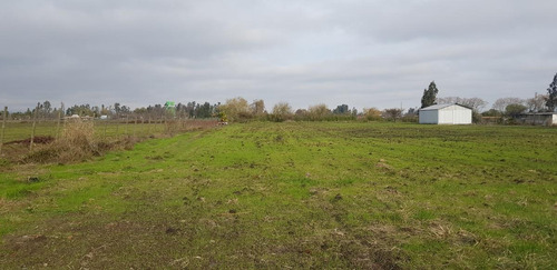 Imagen 2 de 14 de En Venta Hermosa Propiedad Cercana A Curicó