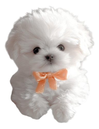 Juguete Electrónico De Peluche Para Perro Que Camina Y