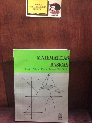 Matemáticas Básicas - Héctor A. Ruiz Y Plutarco Elías Gil
