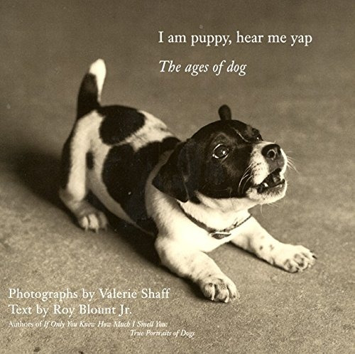 I Am Puppy Hear Me Yap The Ages Of Dog