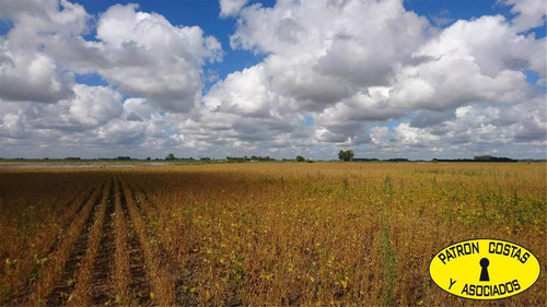Imagen 5 de 9 de 2226-mb- 55 Has Agricolas En Lujan