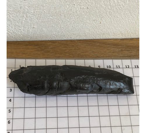 1 Diente De Ballena Cetaceo Auténtico Piedra Fosil Antiguo