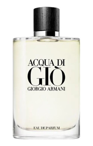 Perfume Armani Acqua Di Giò Masculino Eau De Parfum 200ml