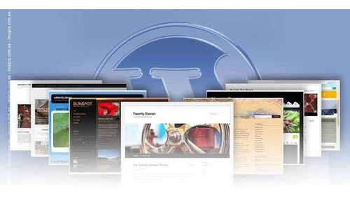 Imagen 4 de 4 de Pagina Wordpress Urgente En 6 Horas O Menos