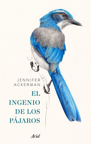 Ingenio De Los Pajaros,el - Ackerman,jennifer