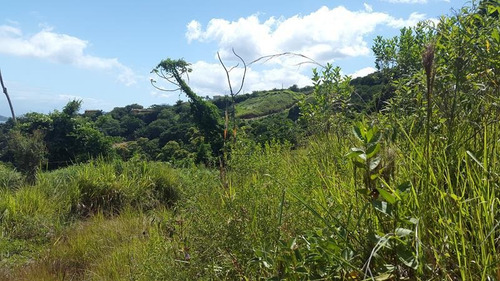 Imagem 3 de 7 de Terreno Para Venda, 2000.0 M2, Veloso - Ilhabela - 76
