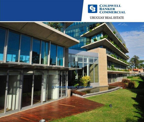 Oficina Alquiler Carrasco - Edificio De Cateogoría