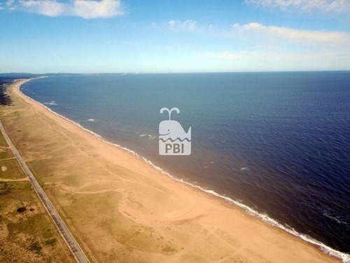 Imagen 3 de 9 de Chacra En Venta Punta Negra - Ref : Pbi589