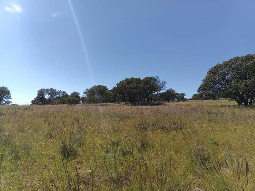 Terreno En Venta En Sierra De Lobos
