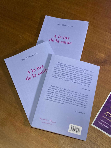 Imagen 3 de 3 de Libro A La Luz De La Caída Rita Corigliano Poesía Viajera Ed
