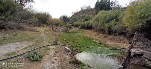 Imagen 21 de 21 de C07 119 Has De Campo Ganadero En San Carlos Mina