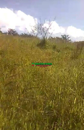 Imagem 5 de 10 de Chácara Em Monteiro Lobato - 2010