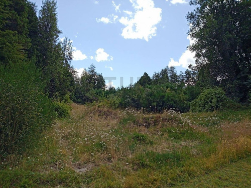 Imagen 3 de 16 de Lote / Terreno De 2.885m2 En Villa La Angostura