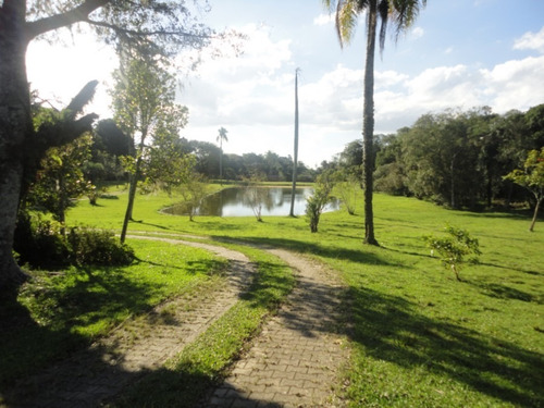 Imagem 11 de 15 de Sitio - Lomba Do Pinheiro - Ref: 383859 - V-cs36005927