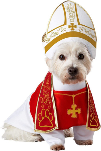 Disfraz De Mascota Mediano Papa Catolico California Costumes