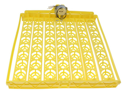 Incubadora Automática De Huevos 56 Huevos Turner Bandeja