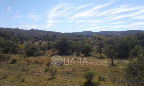 Imagen 3 de 12 de Campo En Venta A 5km Del Centro De Mina Clavero S/ruta 14