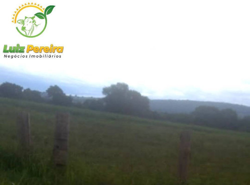 Imagem 6 de 7 de Fazenda À Venda Em Corguinho - Ms De 420 Hectares (dupla Aptidão) - 1808