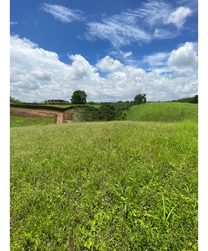 Venta Lotes En Quimbaya Quindío - Colombia Cod: 7439383